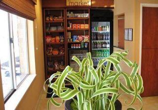 Fairfield And By Marriott Wayne 3* Fort Wayne
